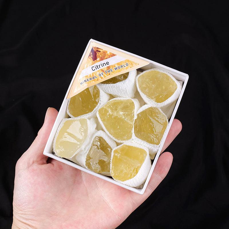 Mystic Crystal Treasure Box – Amethyst, Prophecy Stone & Geode Set